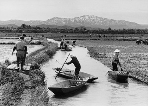 「はるか越後山脈を臨んで」