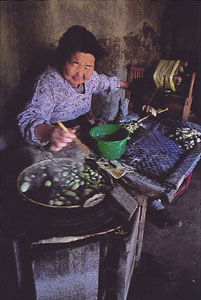 天蚕繭(山繭)
