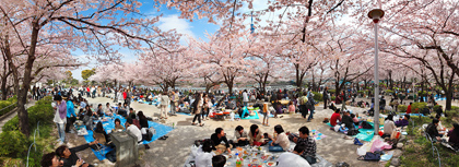 写真集｢東京｜天空樹 Risen in the East｣